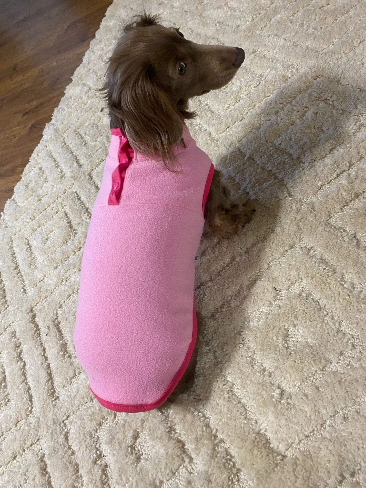 2-Color Fleece Dachshund Sweater