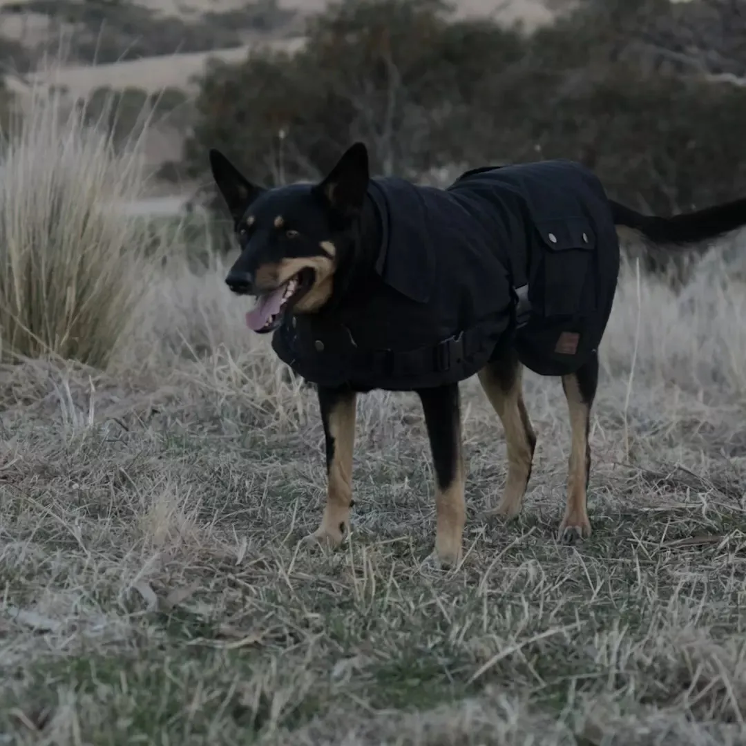 Aussie Oilskin Dog Coat - Black