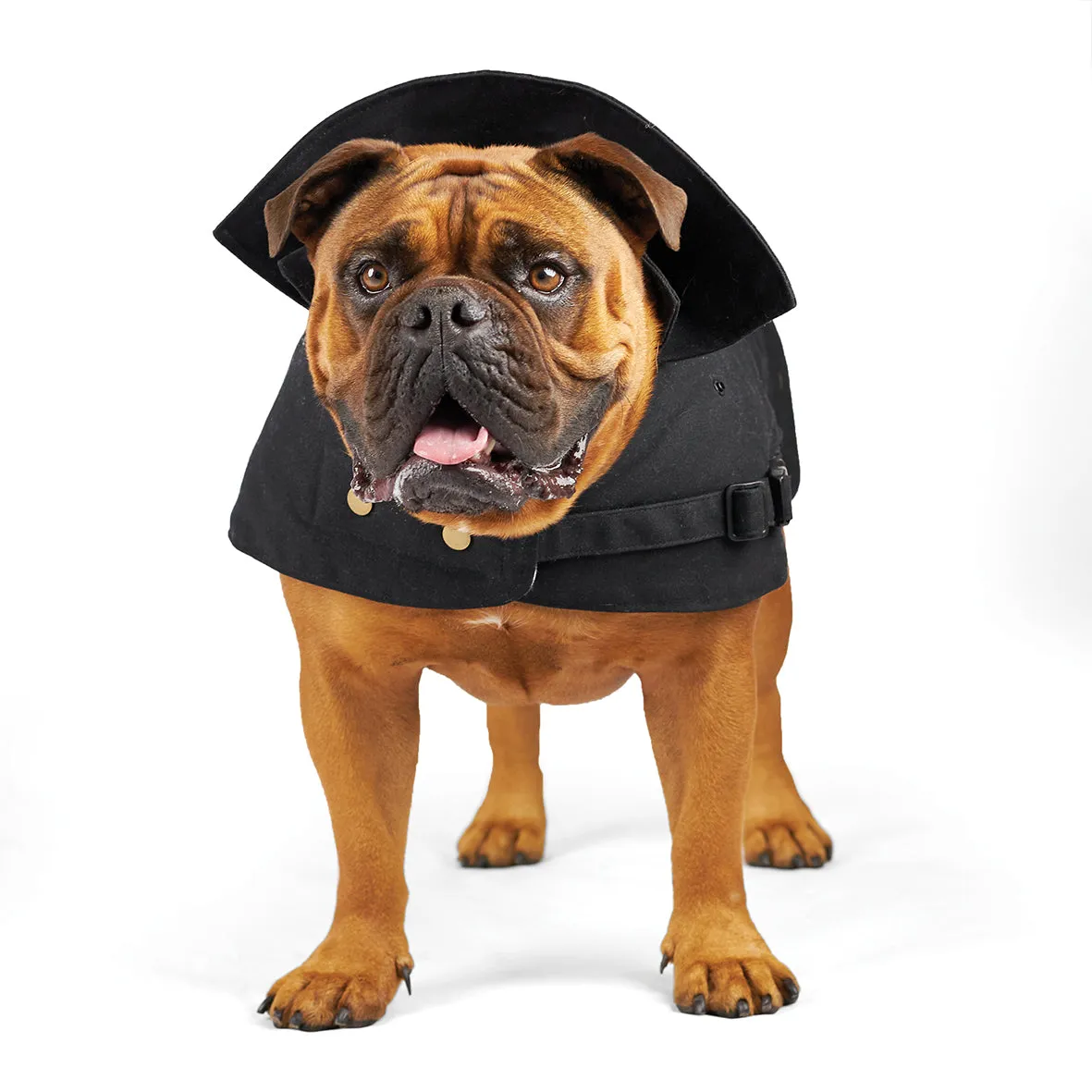 Aussie Oilskin Dog Coat - Black