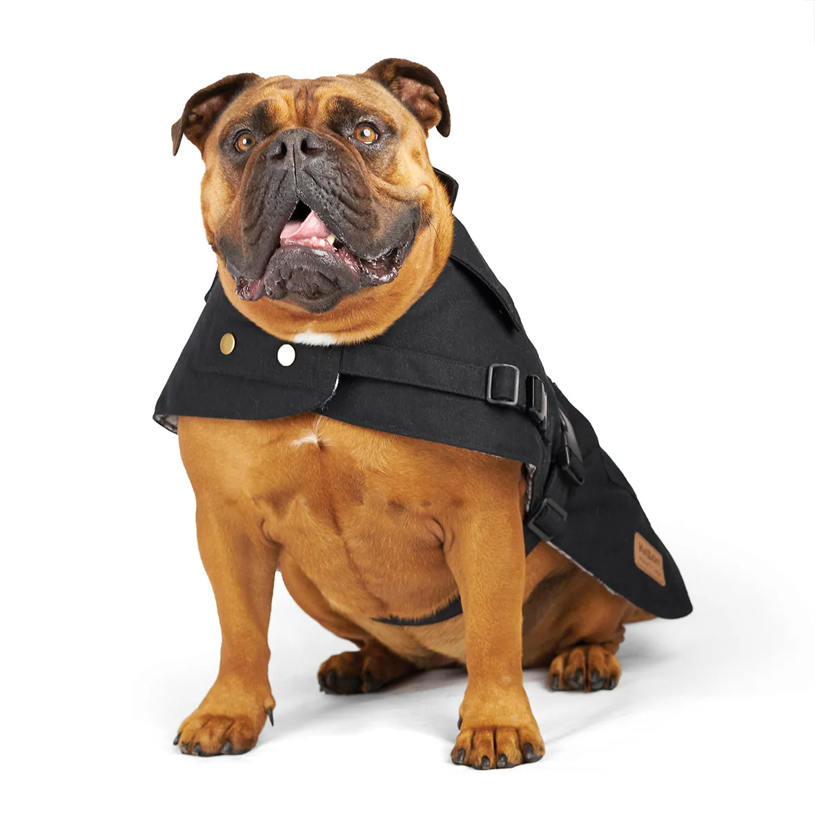 Aussie Oilskin Dog Coat - Black