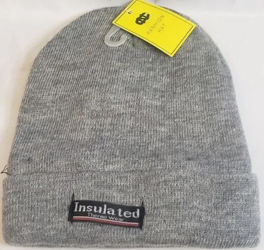 Greg III -- Acrylic Insulated Knit Hat