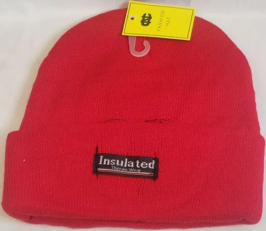 Greg III -- Acrylic Insulated Knit Hat