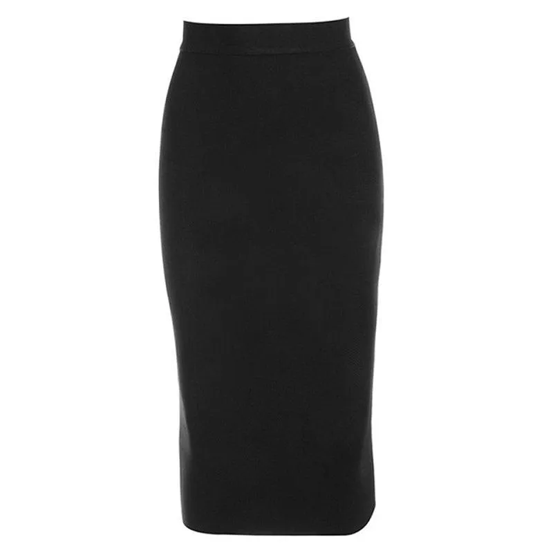 Joslyn Zipper Back Pencil Skirt