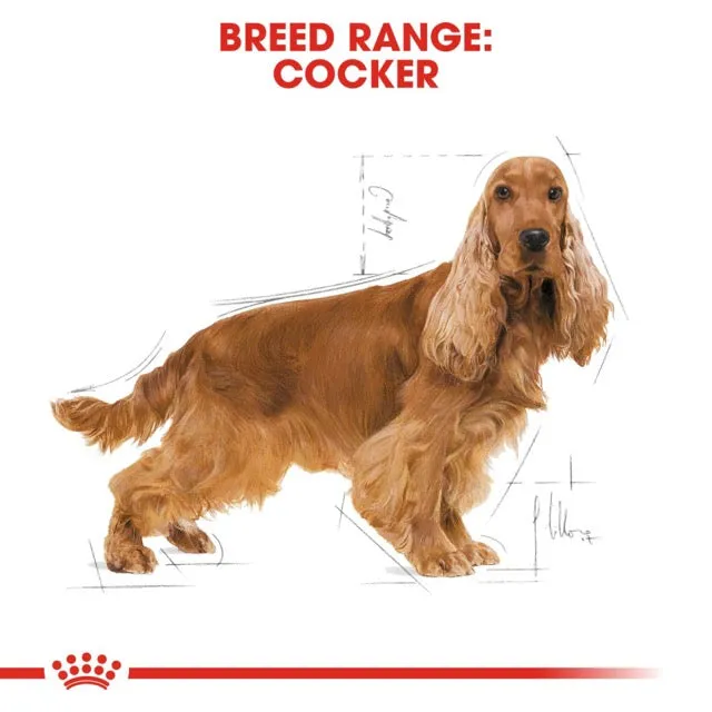 Royal Canin Cocker Spaniel Adult